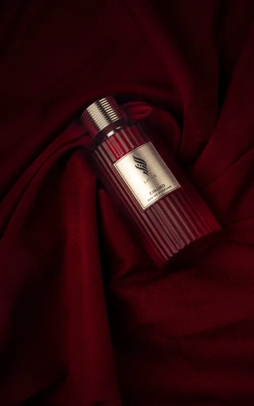 Mega Menu Image1000162